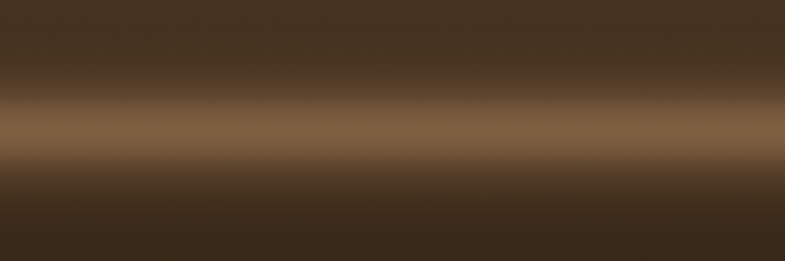 Audi Achatbraun Metallic 98Z color swatch