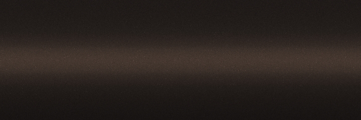 Hyundai Coffee Bean Metallic XN5 color swatch