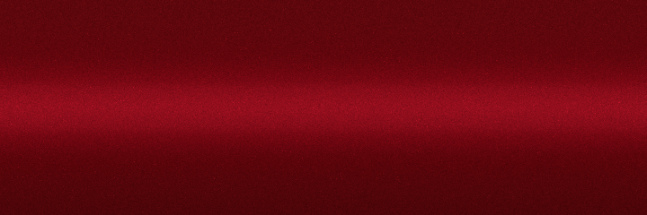 Ford Dark Titanium Metallic E1 color swatch