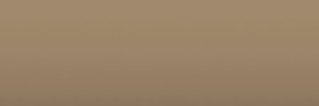Toyota Panama Yellow 1412 color swatch