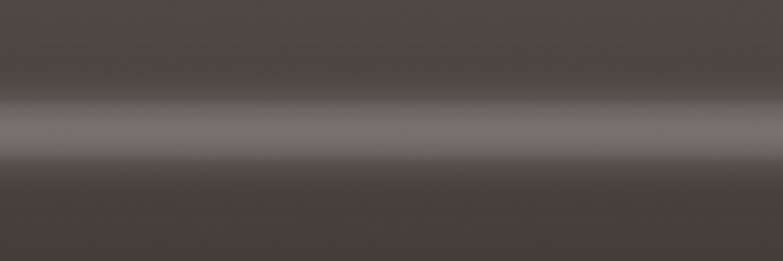Buick Dark Chestnut Metallic 64 color swatch
