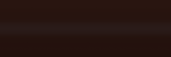 Mitsubishi Dark Brown AC11317 color swatch