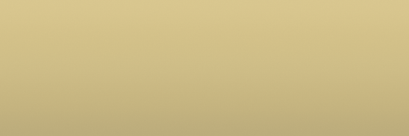Toyota Cream 9A8 color swatch