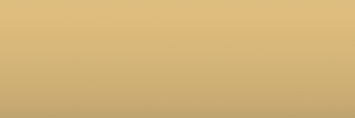Volvo Italian Cream 91204 color swatch