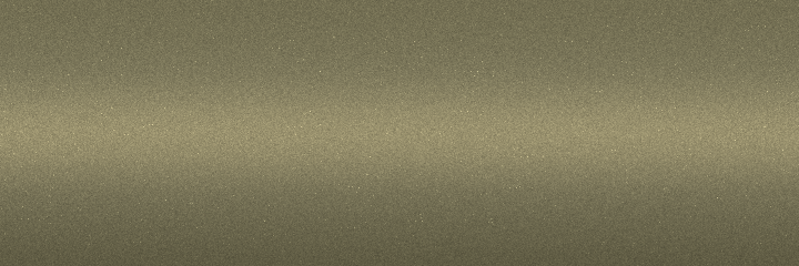 Nissan Timber Frost Metallic ES5 color swatch