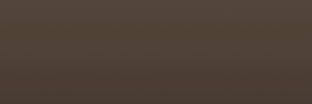 Lexus Dark Tan 54B4 color swatch