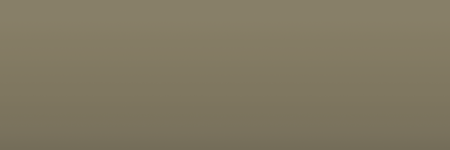 Porsche Staubgrau Z67 color swatch