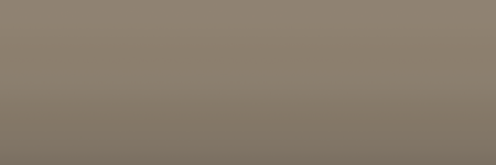 AMC Khaki 8A color swatch