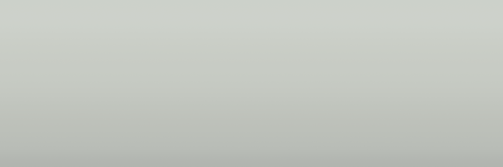 Chevrolet White 11L color swatch