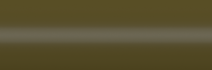 Volkswagen Daenisch Armeegruen J6B color swatch