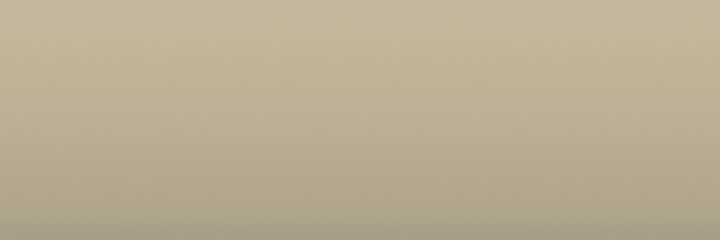 Daihatsu Beige T08 color swatch