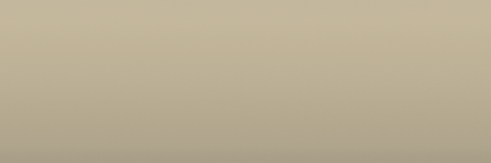 Daihatsu Beige T08 color swatch