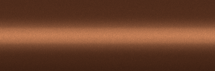 Nissan Brown Metallic CW0 color swatch