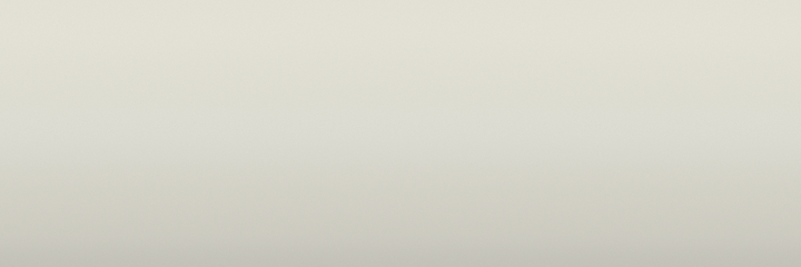 Suzuki Milky White Z2E color swatch