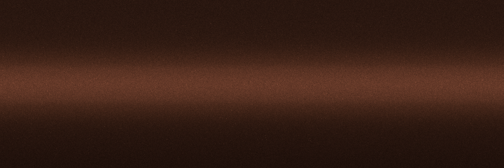 Kia Saddle Brown Pearl DT9 color swatch