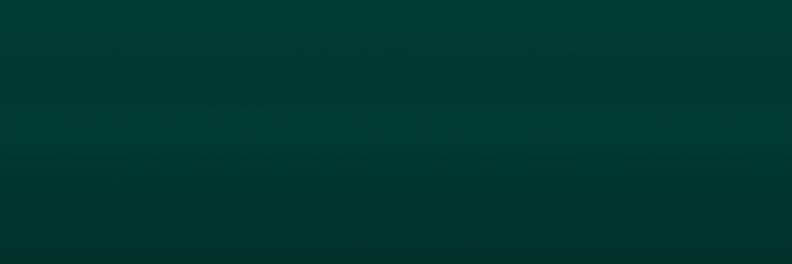 Nissan Green DX4 color swatch