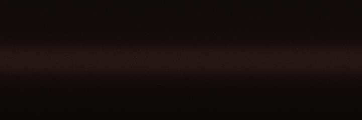 Toyota Dark Brown Mica 4N2 color swatch