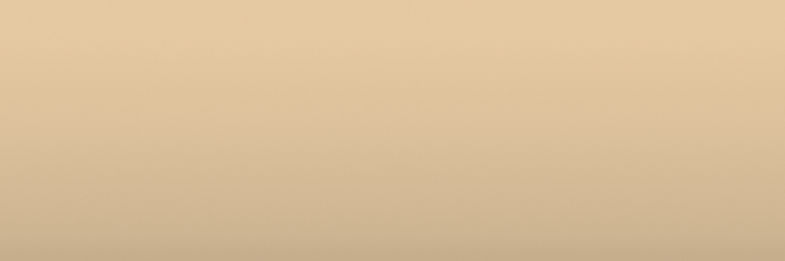 Dodge Light Cream PY2 color swatch