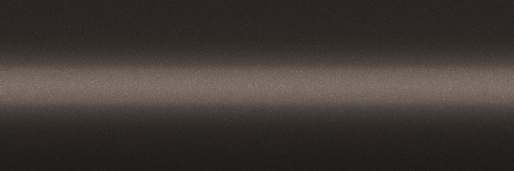 Buick Cocoa Metallic 81 color swatch
