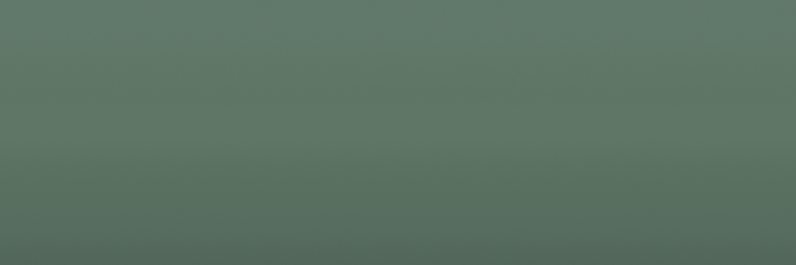 Volkswagen Taigagruen 63H color swatch