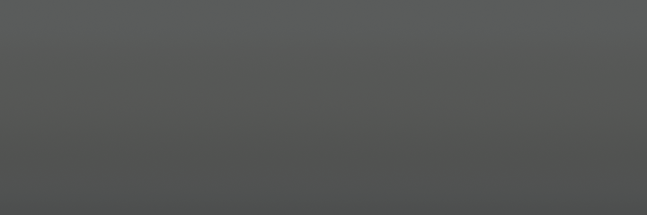 Suzuki Medium Grey ZVL color swatch