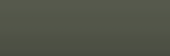 Hyundai Tomboy Khaki TKS color swatch