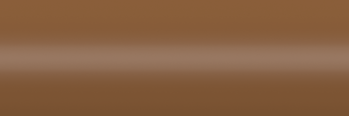 Ford Real Steel TB color swatch