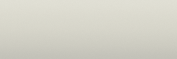 Chrysler Bravo White TW2 color swatch