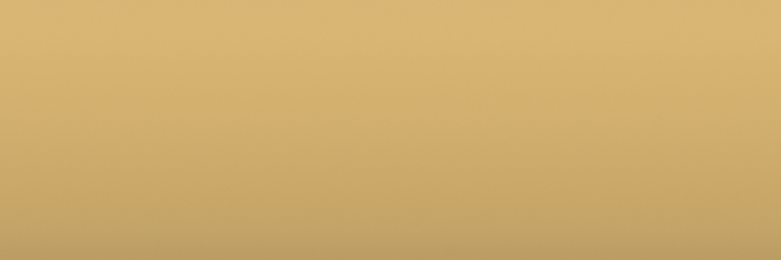 Nissan Ivory D16 color swatch