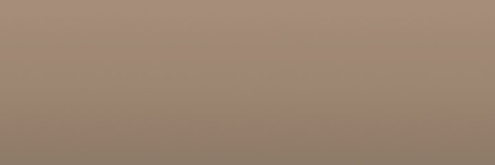 Volkswagen Toscanabeige T1M color swatch
