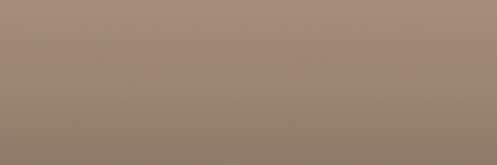 Volkswagen Toscanabeige T1M color swatch