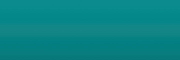 Fiat Marrone Metallic 856 color swatch