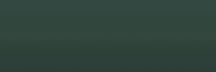Bentley Light Havanna Metallic 6815 color swatch