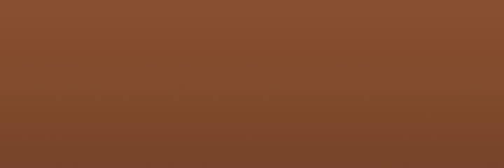 Volkswagen Assuan Brown LH8B color swatch