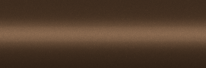 Audi Agate Brown Metallic L95Y color swatch