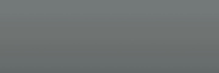 Lotus Zinc Grey S203 color swatch
