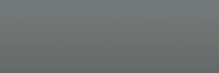 Lotus Zinc Grey S203 color swatch