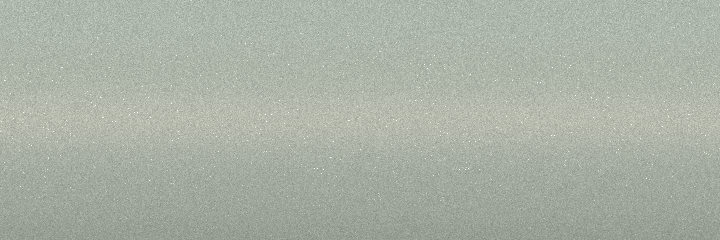 Ford Oyster Silver Metallic OS color swatch