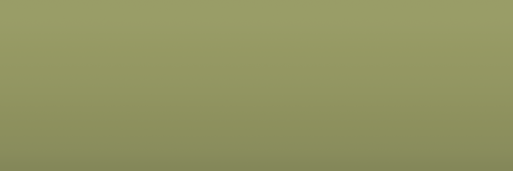 Bentley Dove Grey 6767 color swatch