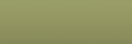 Bentley Dove Grey 6767 color swatch