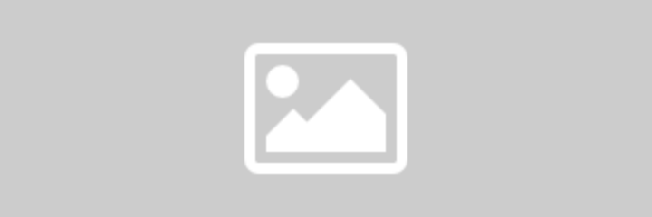 Dodge Dark Brown Metallic TT8 color swatch
