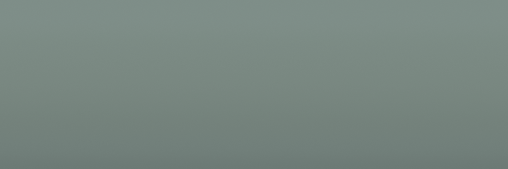 Volvo Grey 91718 color swatch