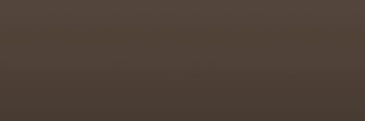 Toyota Grayish Brown 54B4 color swatch