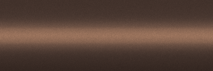 Toyota Champagne Metallic WBJ color swatch