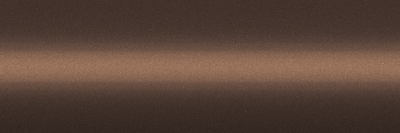 Toyota Champagne Metallic WBJ color swatch