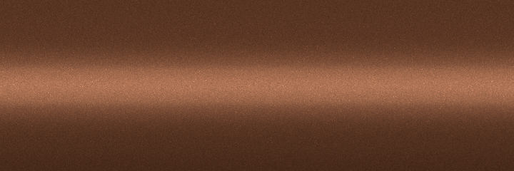 Toyota Light Brown Metallic 4J6 color swatch