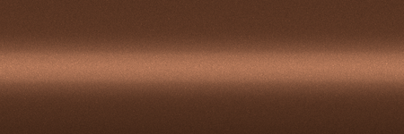 Toyota Light Brown Metallic 4J6 color swatch