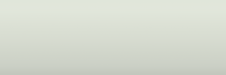 Daihatsu White W19 color swatch