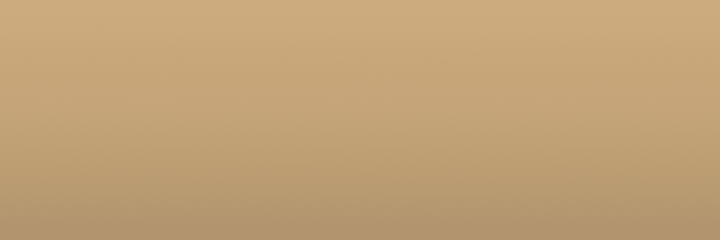 Plymouth Cashmere Tan VT5 color swatch