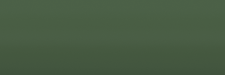 Ford Medium Cypress Metallic 6842 color swatch